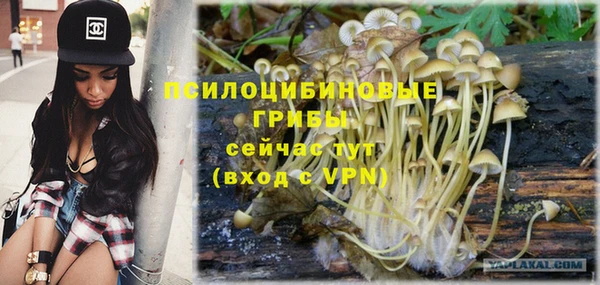 прущая мука Михайлов