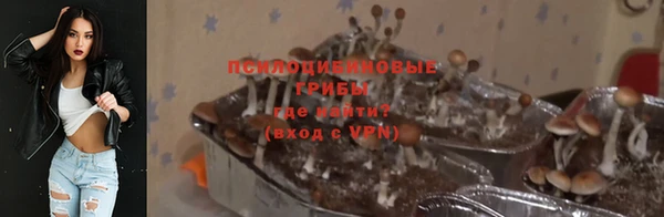 прущая мука Михайлов
