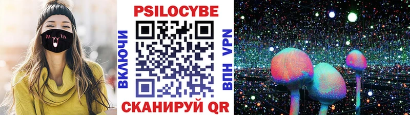 Купить где  Нея  Псилоцибиновые грибы Magic Shrooms 